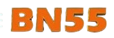 bn55 game